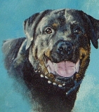 Hond, (detail schilderij in opdracht)